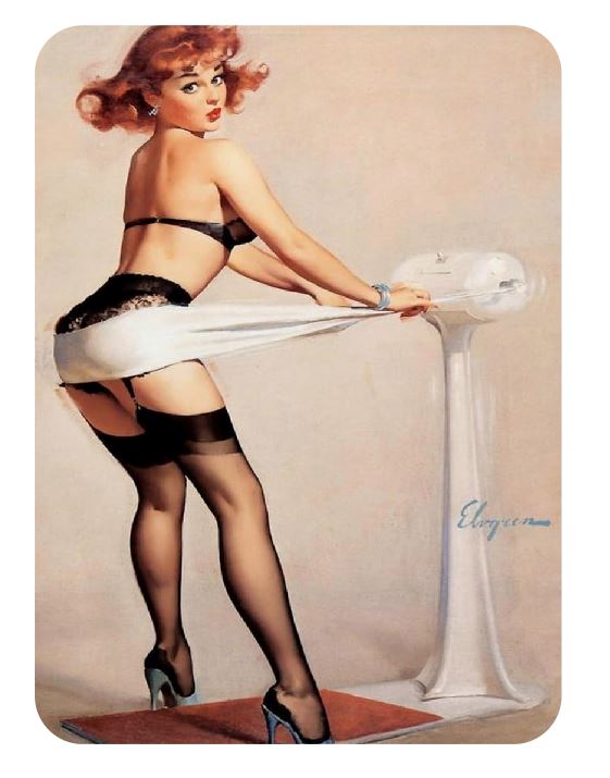 Pinup Girl Sticker Decal pin up pin-up P203