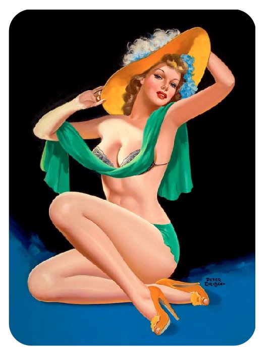 Pinup Girl Sticker Decal pin up pin-up P260