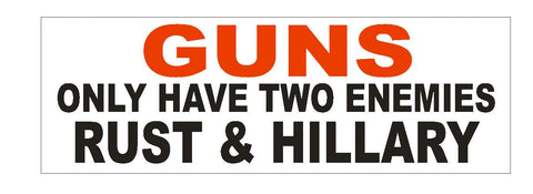 Anti Hillary Pro Gun BUMPER STICKER or Helmet Sticker D2376 Trump for President - Winter Park Products