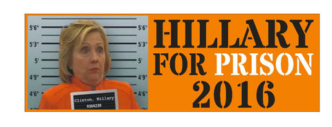 Hillary Clinton BUMPER STICKER or Helmet Sticker D2082 Hillary for Prison - Winter Park Products